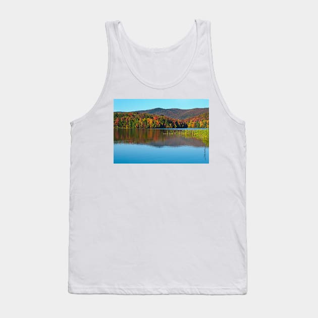 Kent Pond in Autumn Tank Top by srwdesign